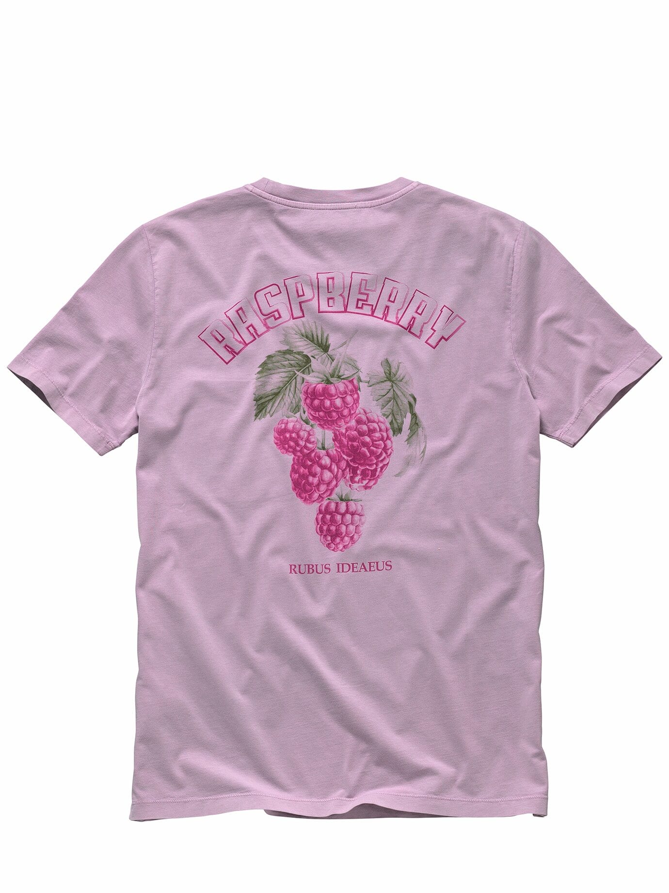 Mey & Edlich Frucht-Shirt Pink S 2