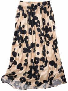 Beschwingter Rock sandkäfer-dots