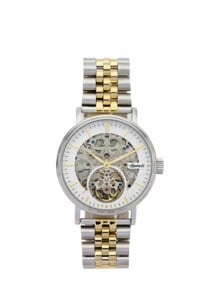 Ingersoll The Charles silber/gold