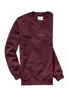 Sweatshirt Lens Sweatshirt Lens