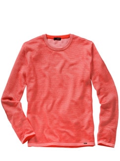 Pullover Cifinn Pullover Cifinn