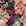 Blumen flieder/apricot Blumen flieder/apricot