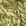 limette
