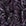 Purpel