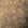 beige beige