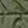 khaki khaki