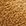 mid brown mid brown