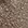 taupe taupe