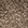 taupe taupe