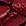 rot rot