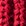 rot rot