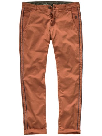 Barb`One Chino New Lexington tomate Detail 1