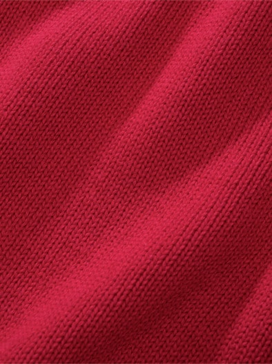 Shirtkragen-Pulli chianti