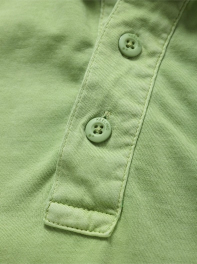 Polo Tauranga kiwi