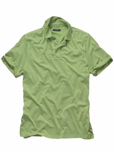 Polo Tauranga kiwi