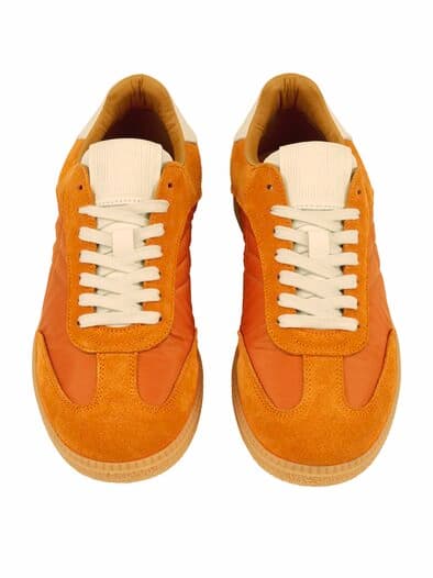 Sonnenstepper hokkaidokürbis