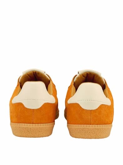 Sonnenstepper hokkaidokürbis