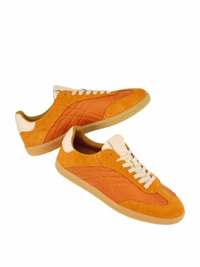 Sonnenstepper hokkaidokürbis