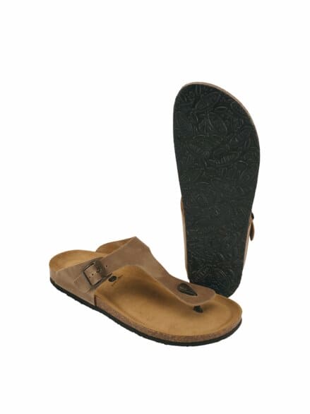 Kork-Zehentreter ahorn Kork-Zehentreter ahorn