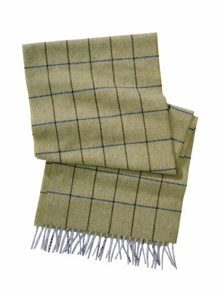 Gründer-Schal limette