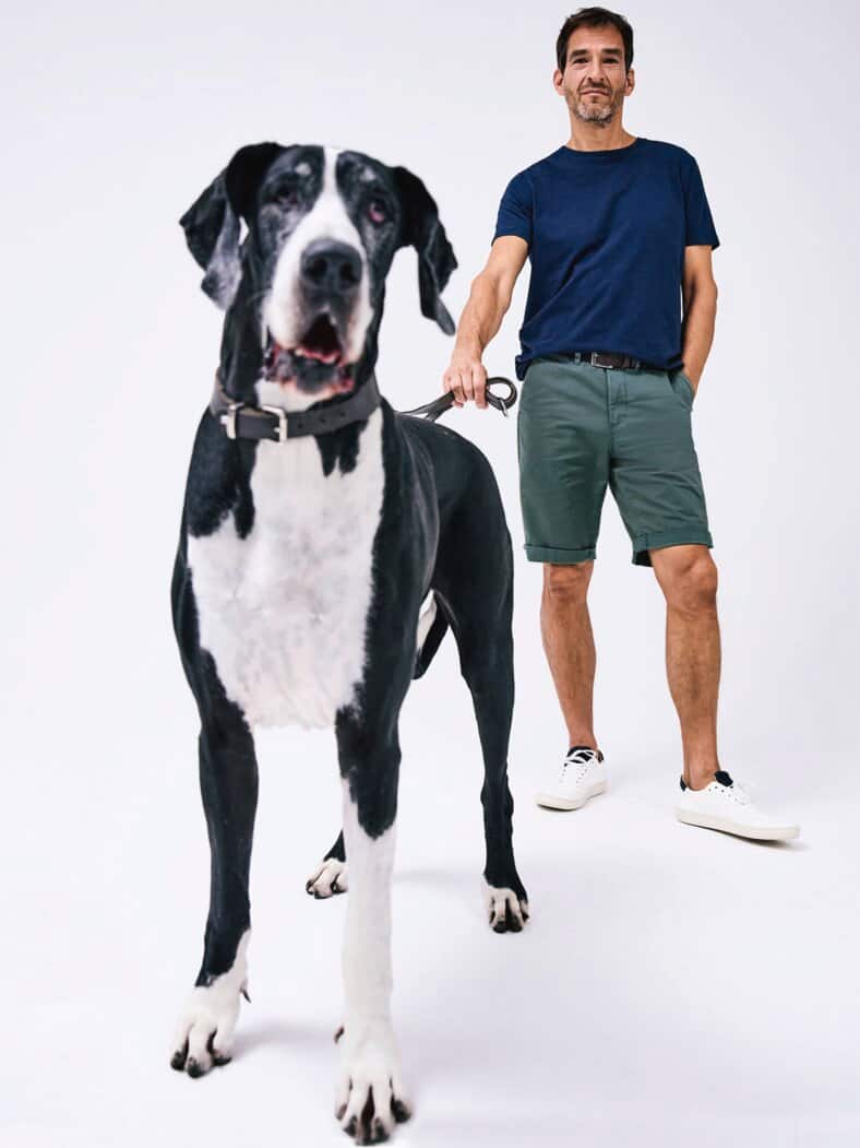 Gefährten-Shorts geeistes petrol