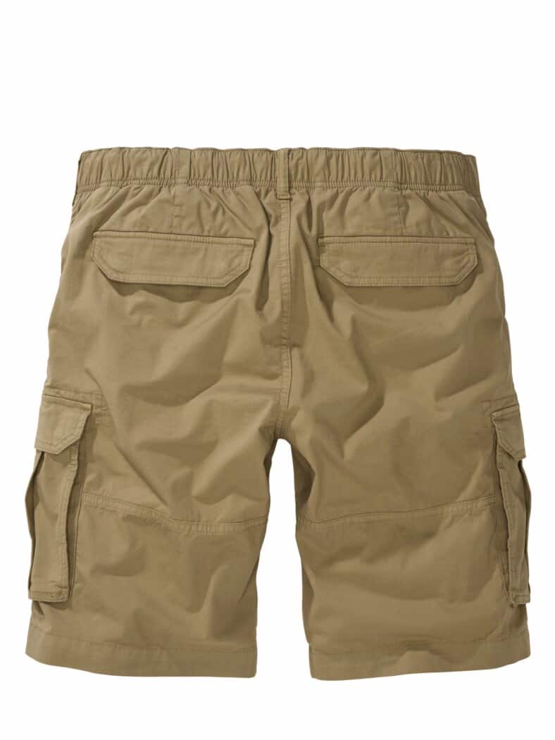 Leichtigkeit-Cargo camel