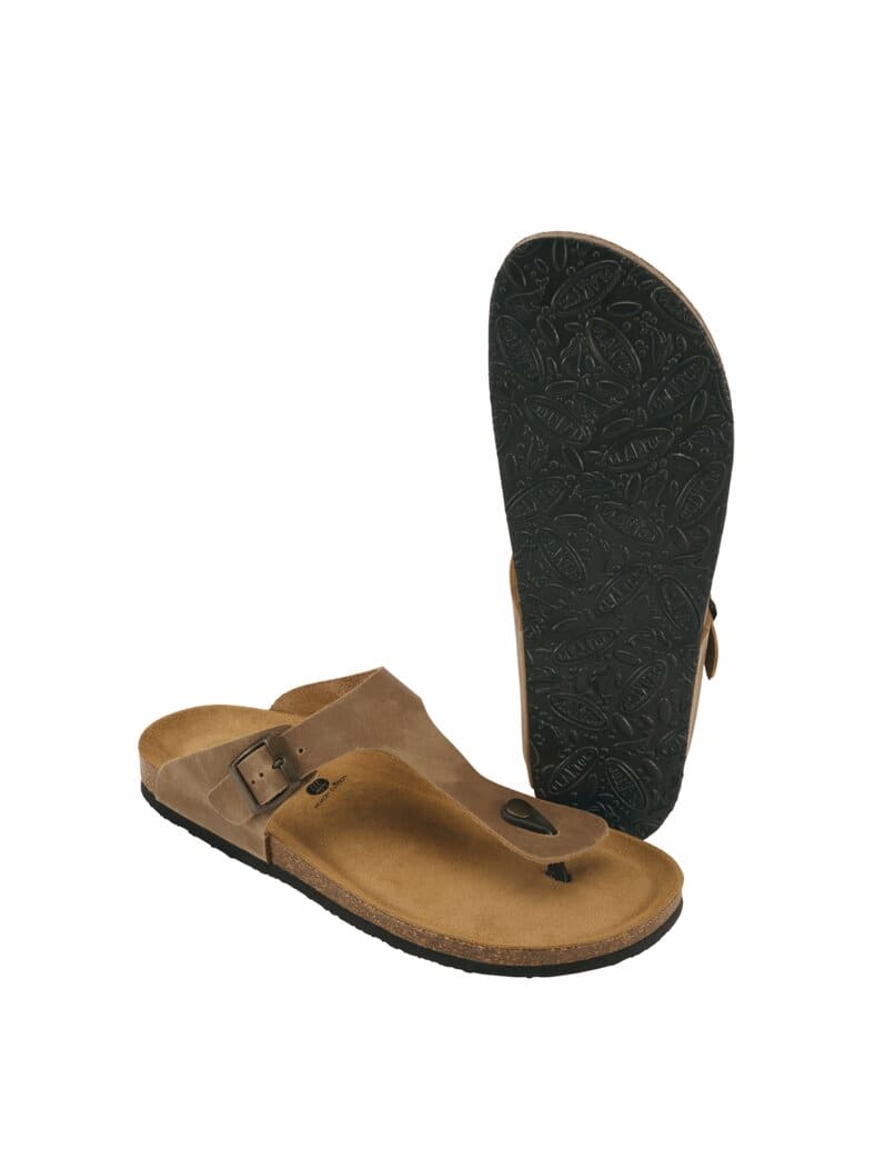 Kork-Zehentreter ahorn