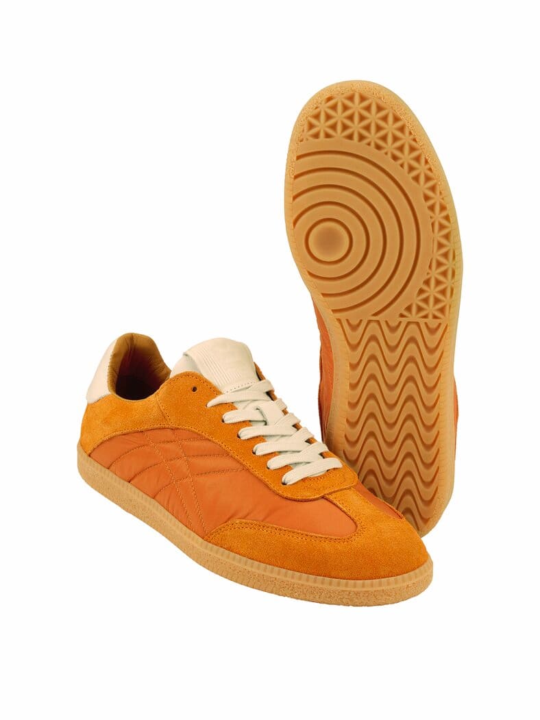 Sonnenstepper hokkaidokürbis