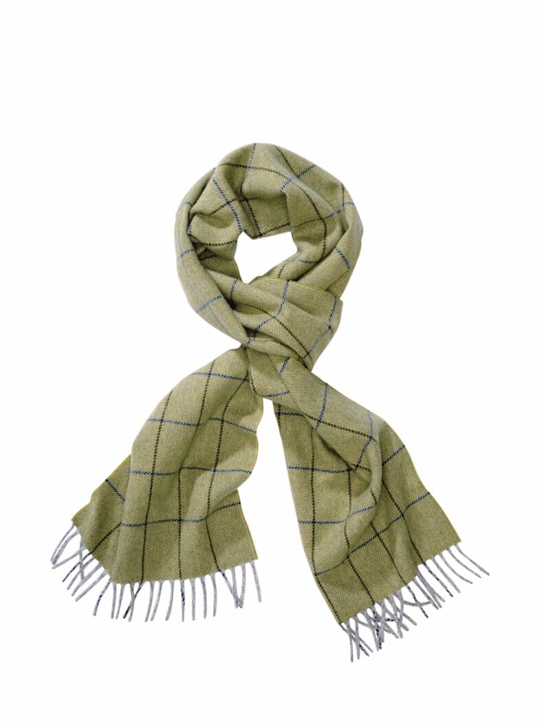 Gründer-Schal limette